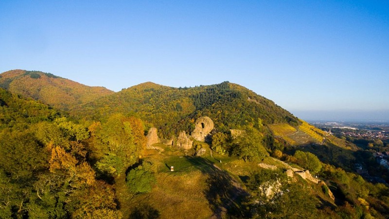 Vue drone des ruines du château de l'Engelbourg 'Oeil de la Sorcière'