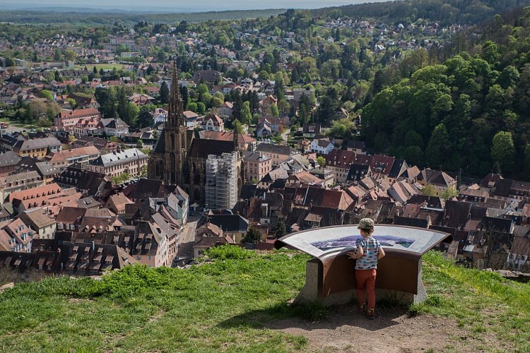 La ville de Thann avec sa Collégiale Saint-Thiébaut, vue du Château de l'Engelbourg