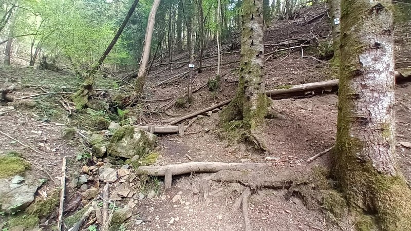 Circuit du chalet Stahlberg