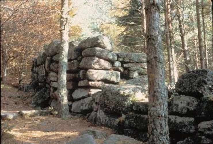 Entdeckung des Taennchelmassivs (über Schelmenkopf)