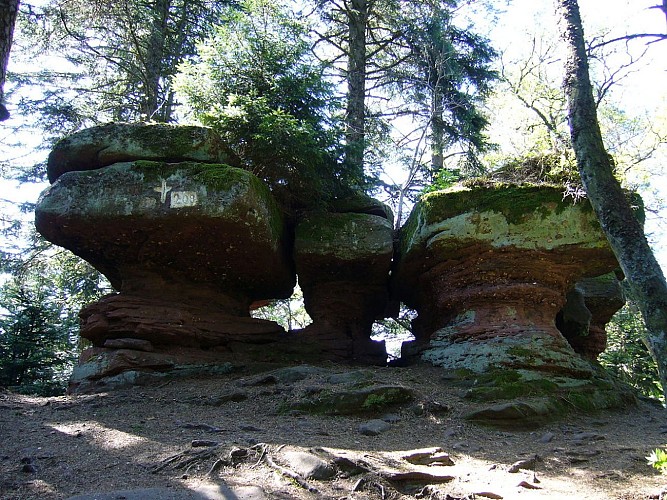 Découverte du massif du Taennchel (par Schelmenkopf)
