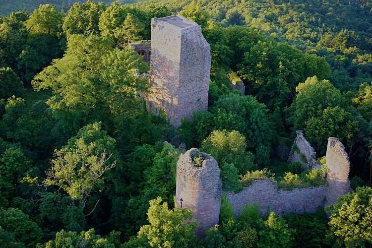 Le château du Landsberg