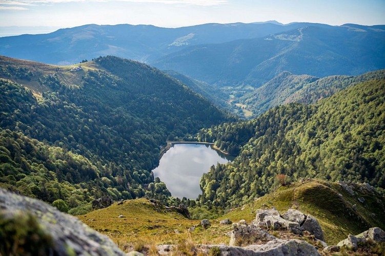 Parcours Trail : Le Gaschney - Entre crêtes et lacs