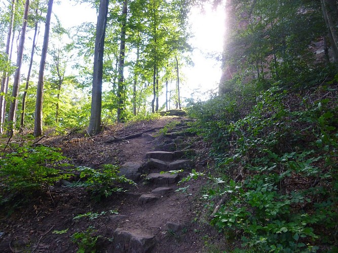 Grimper ici pour accéder au Château de Froensbourg