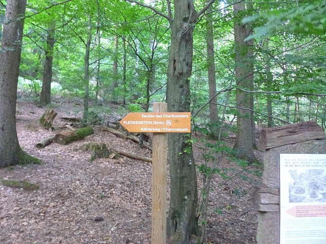 Début de la randonnée, en direction du Château de Fleckenstein