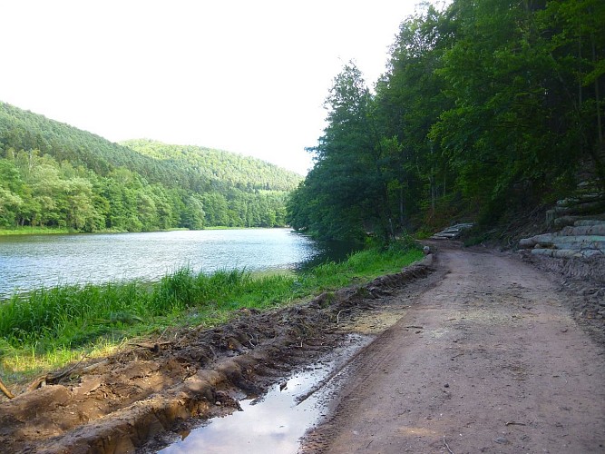 Entre le Château de Fleckenstein et le Château de Froensbourg, le long de la Sauer