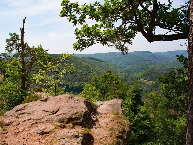 Vue depuis le Rocher du Krappenfels