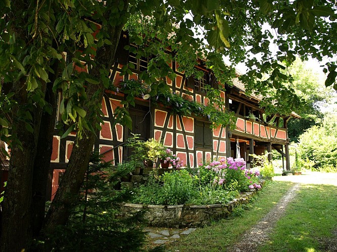 Village d'Illtal (1)