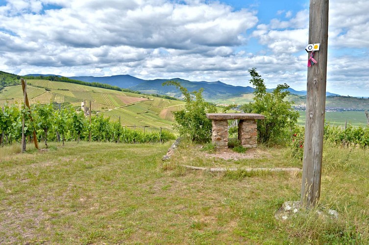 Hiking tour - from Sommerberg to Wineck Castle