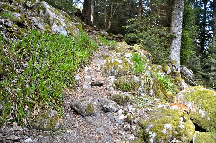 Hiking tour - the ascent to the Lac Blanc by a farmhouse