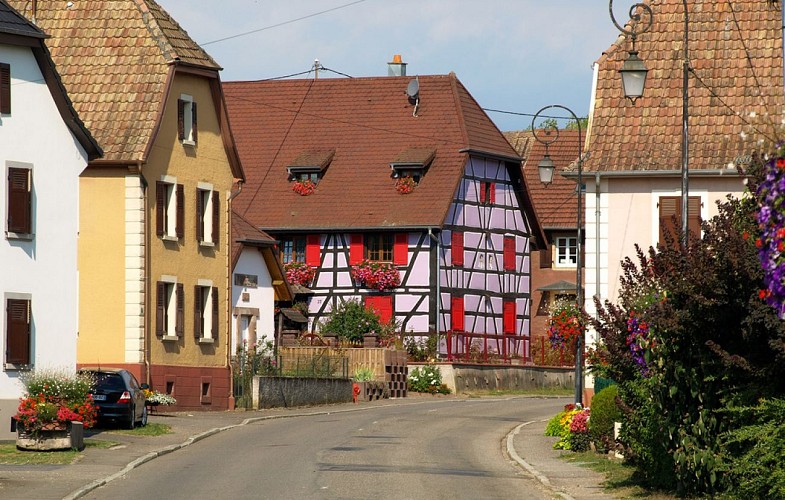 Friesen (1)
