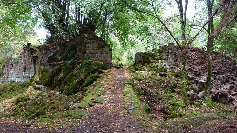 Ruines du Grand Ringelstein à Oberhaslach