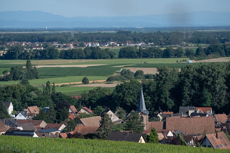 Visit of the village Wolxheim