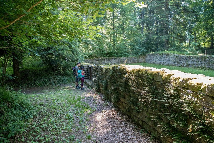 Ruines de l'ancien couvent du Schwartzenthann