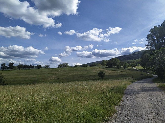 Prairies entre Wintzfelden et le Schwartzenthann