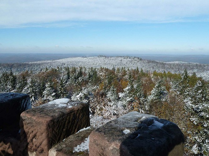 Randonnée vers le Grand Wintersberg, Niederbronn-les-Bains, Alsace