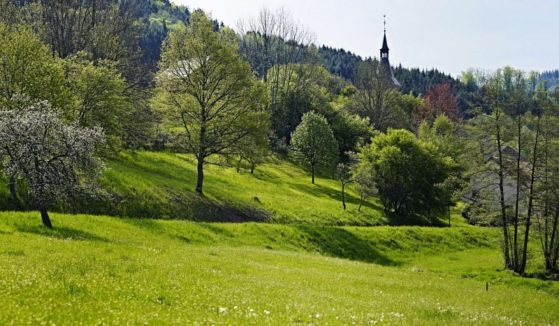 Circuit rando H10 : Les hauts de Ranrupt