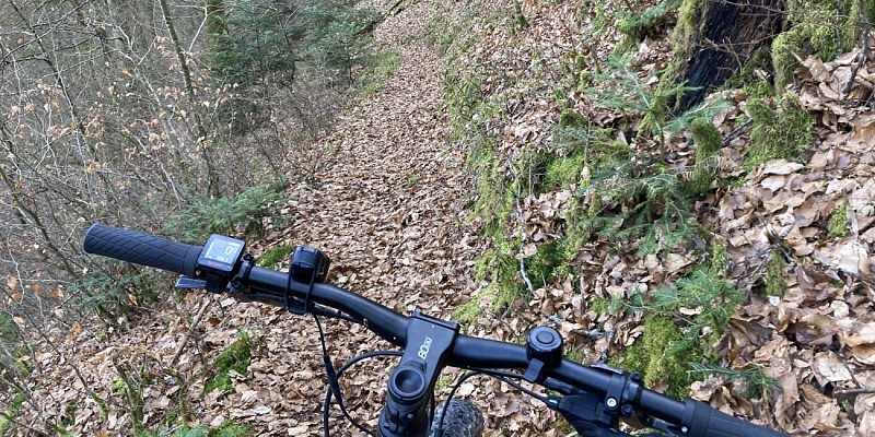 Single de la descente du Rocher Blanc