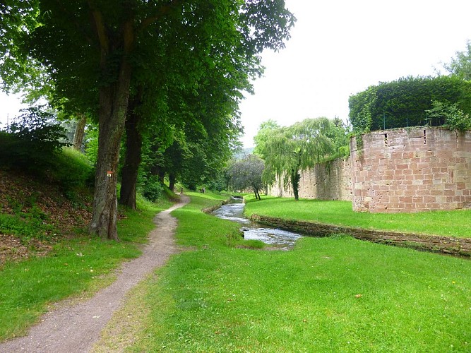 Longer la Lauter sur ce chemin.