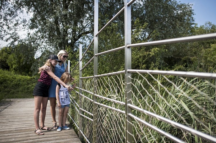 Fahrradtour im Elsass - Modertal-Radweg
