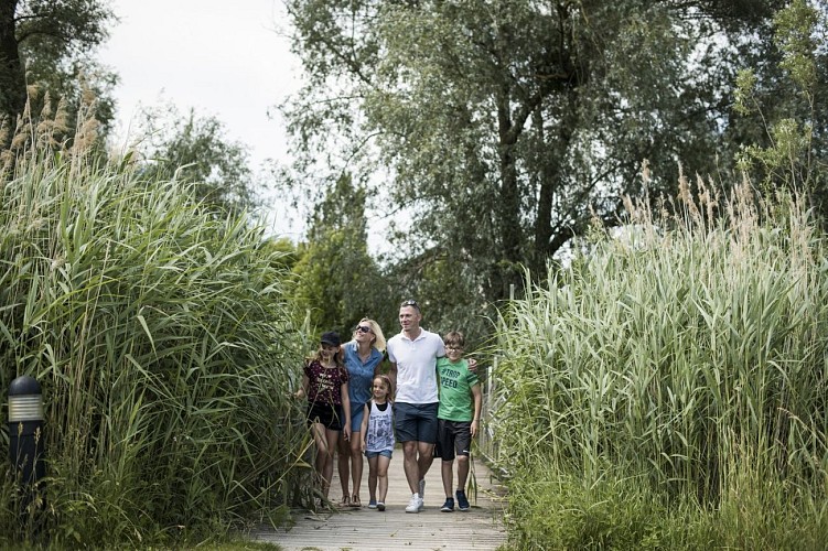 Fahrradtour im Elsass - Grenzüberschreitende Schleife "Rheinpark"
