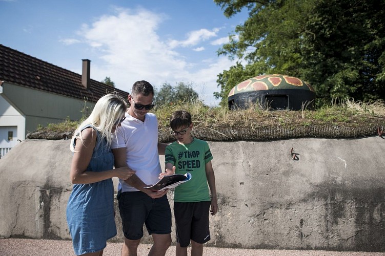 Alsace by bike - Cross-border loop "Rhine Park
