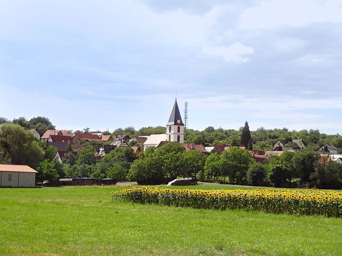 La route du patrimoine