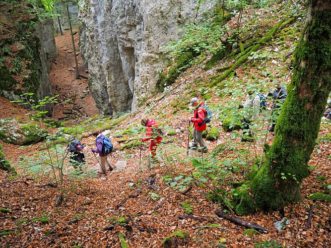 Paysage typique du Jura Alsacien, village de Winkel.