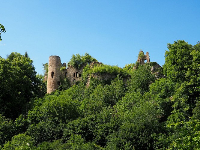 Château du Morimont