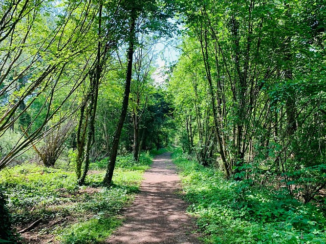 Rundwanderweg: Töpferweg Soufflenheim - Gros Chêne