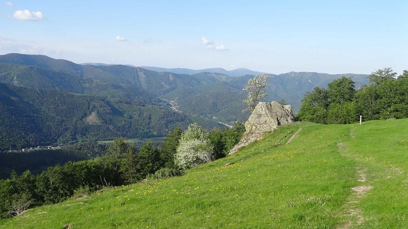 Trail-Rundweg Lachtelweiher – Quelle der Doller