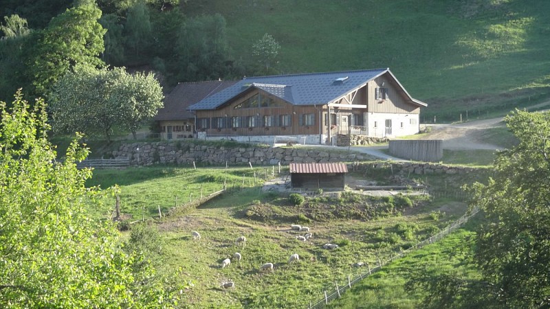 Circuit trail source de la Doller