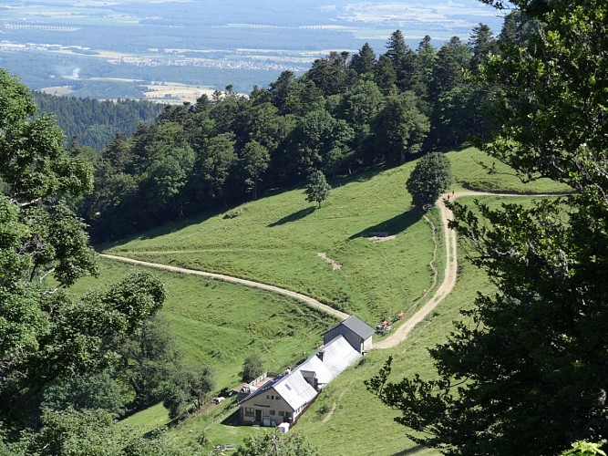 Ferme-Auberge du Thannerhubel