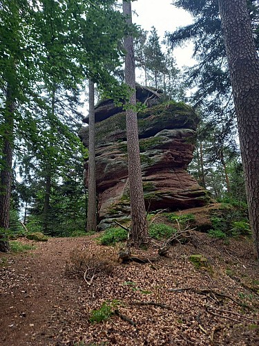 N°13: Le Sentier des Roches