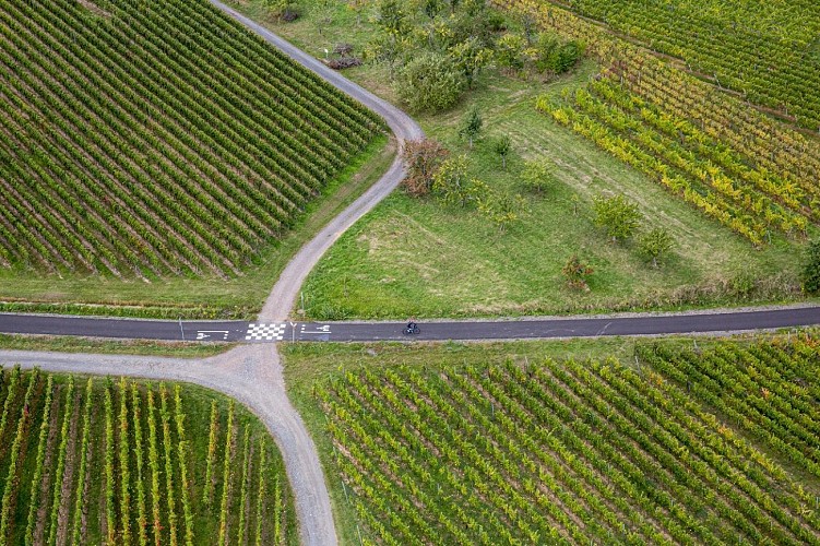Radtour - Zwischen Ebene und Weinberg