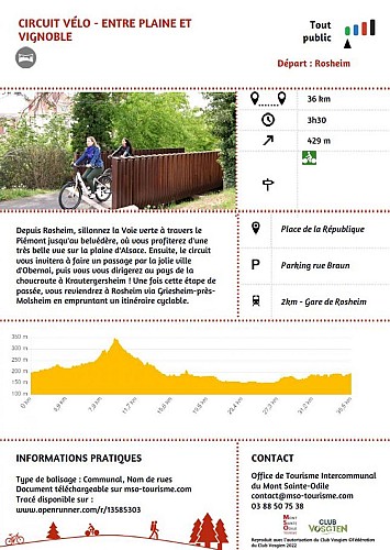 Circuit vélo - Entre plaine et vignoble