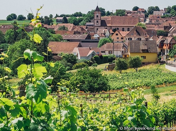 MTB-Strecke 10 - Goldene Krone