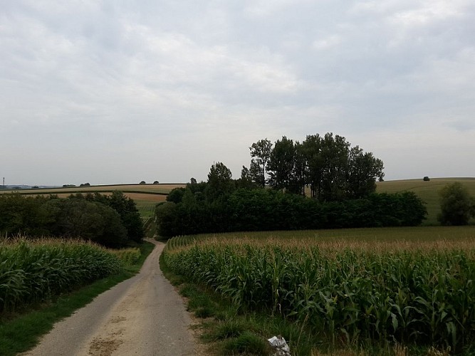 Fronberg-Rundwanderweg