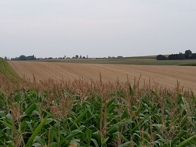 Fronberg-Rundwanderweg