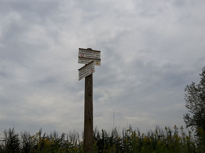 Fronberg-Rundwanderweg