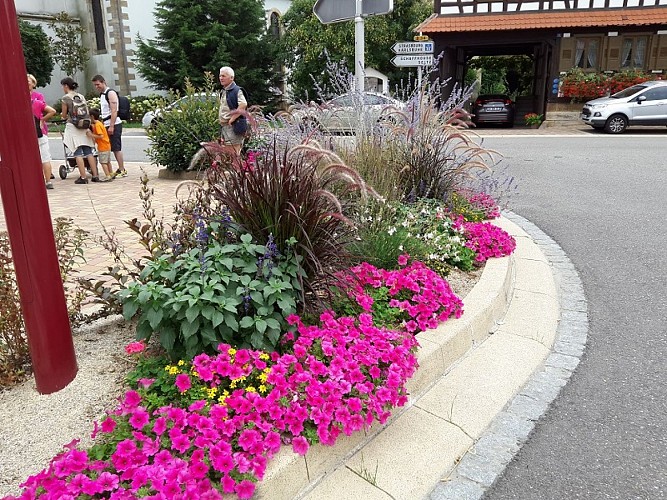 Sentier pédestre : Circuit du Fronberg