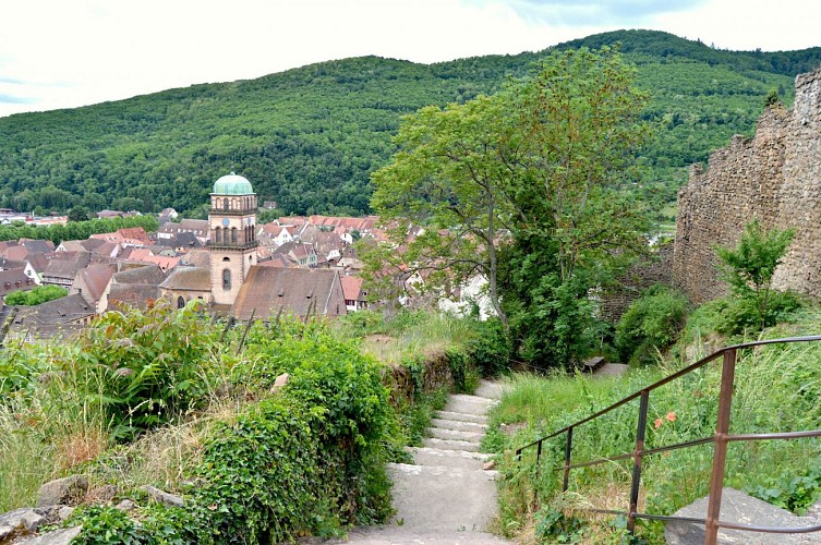 Circuit rando - rejoindre l'auberge Saint-Alexis depuis Kaysersberg