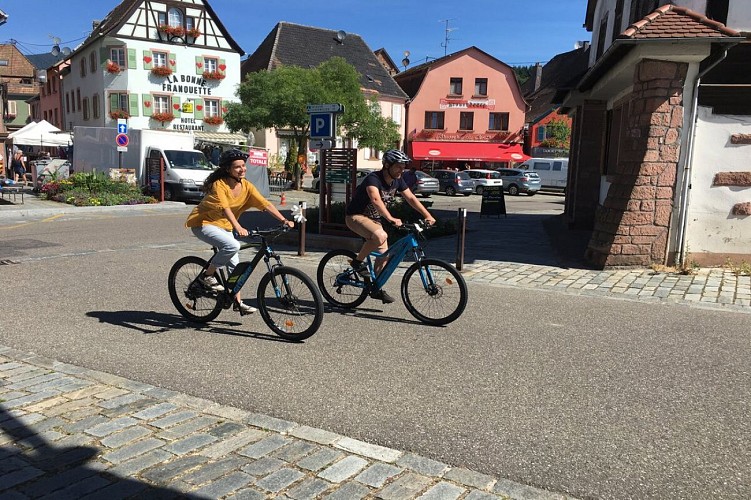 Road cycling circuit - Col d'Urbeis - Stampoumont - Col de Steige