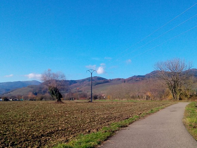 Piste cyclable entre Cernay et Vieux-Thann