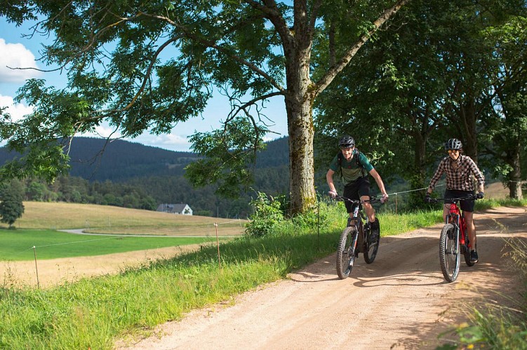 Mountainbike Strecke 1 - Die große Tour von Le Bonhomme