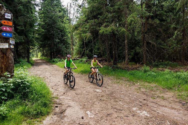 Mountain bike trail 1 - The big tour of Le Bonhomme