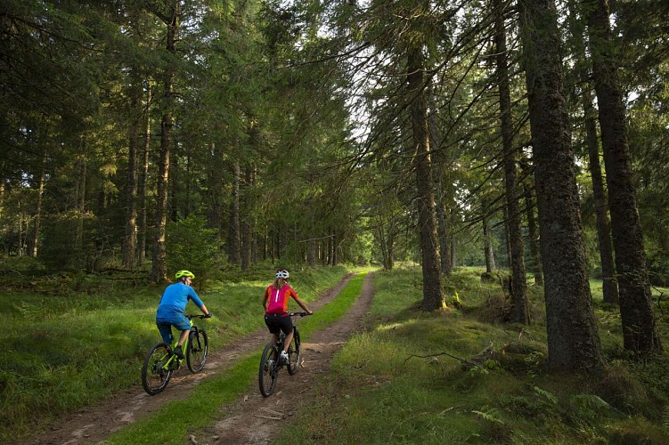 Circuit VTT 1 - Le Grand Tour du Bonhomme