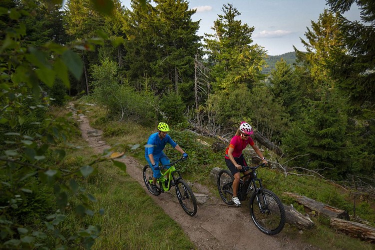 Circuit VTT 1 - Le Grand Tour du Bonhomme