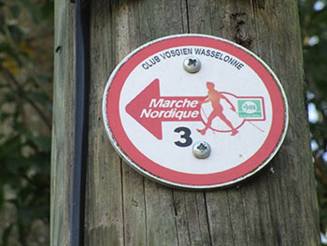 Nordic Waling trail - Geierstein