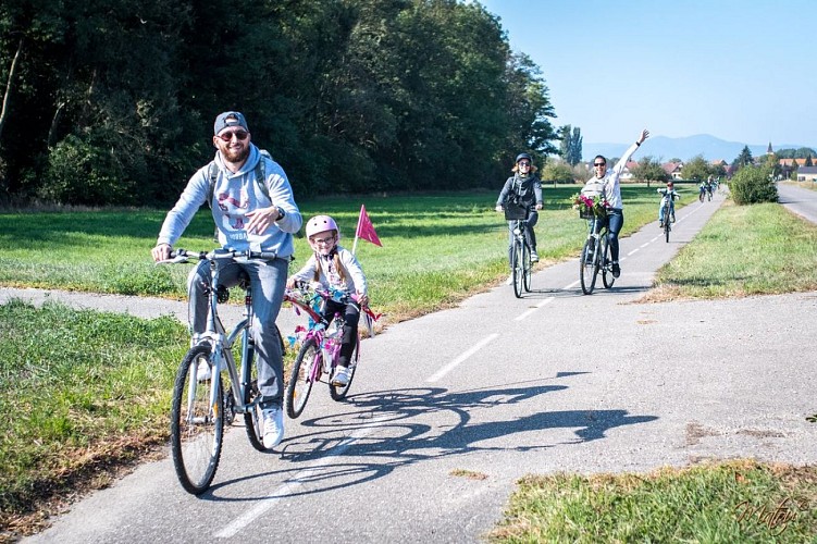 BL 152 - Vom Kohl auf den Teller